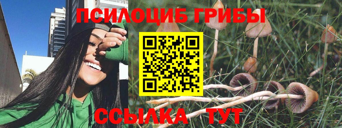 Краснознаменск  Галлюциногенные грибы прущие грибы  Вход с VPN 