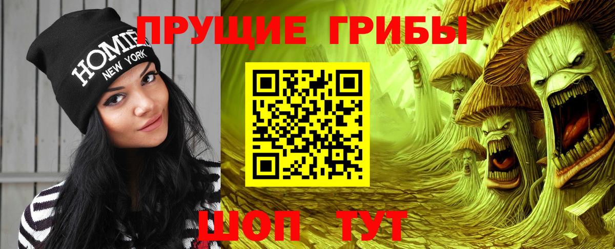 Галлюциногенные грибы Psilocybe Краснознаменск